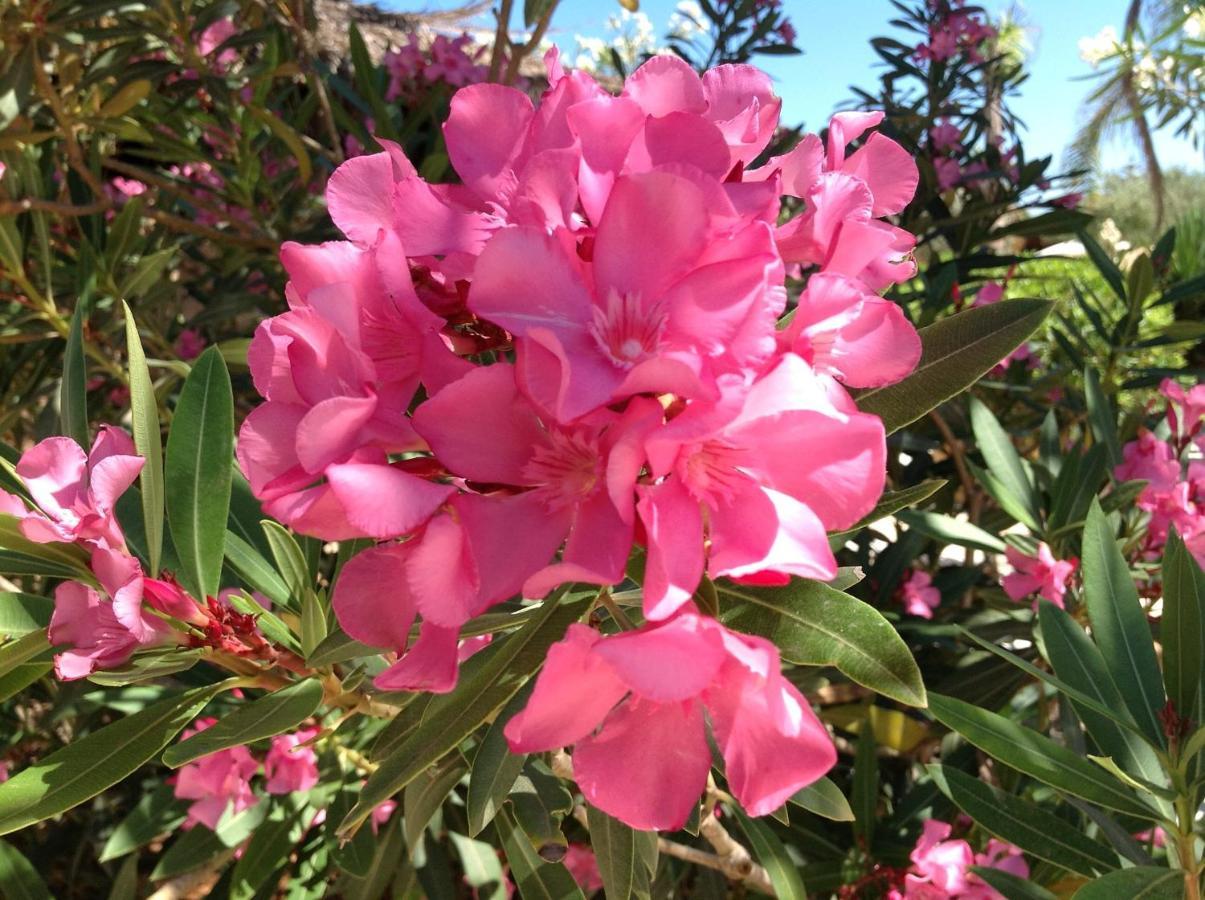 LMP Cupola Bianca Resort מראה חיצוני תמונה